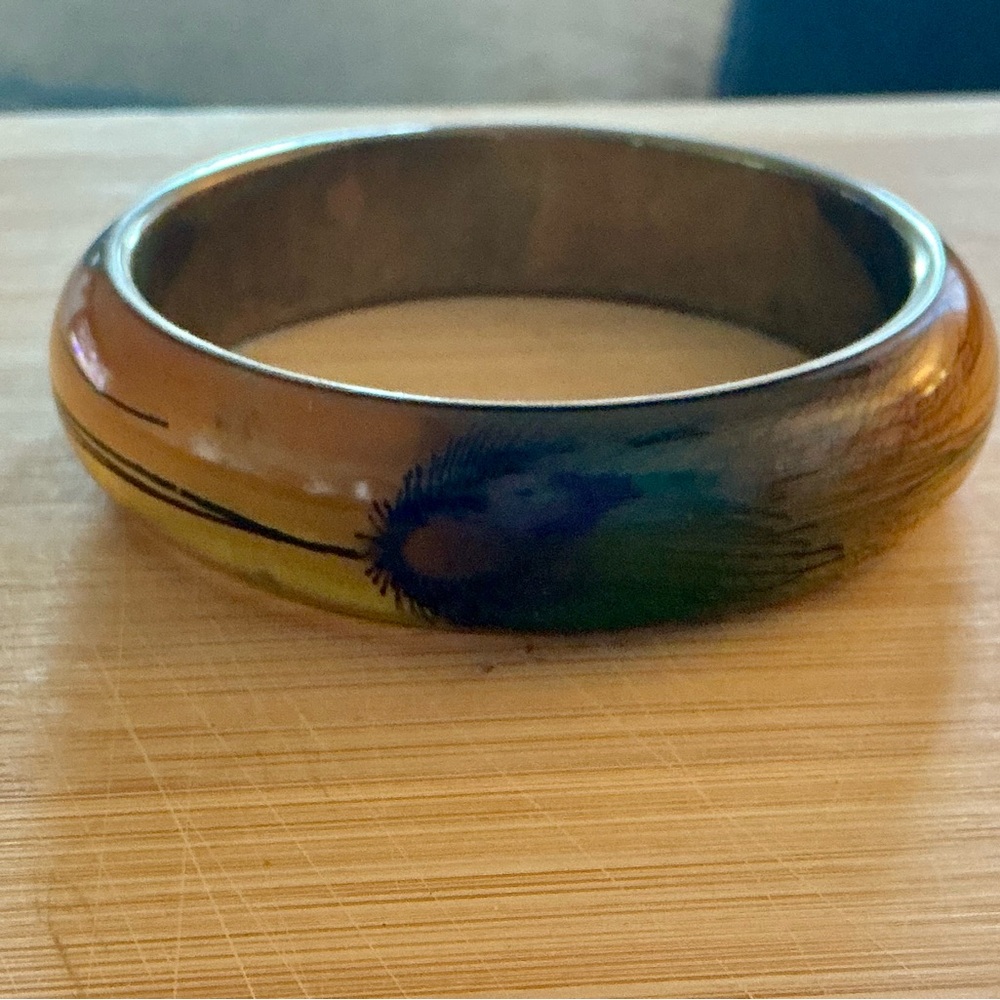 Vintage Peacock Feather Lucite? Bangle Bracelet Hand Painted Metal Inside Boho